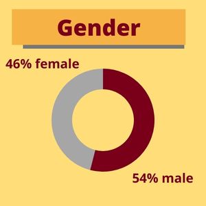 Graphic depicts gender on a pie chart: 46% female, 54% male