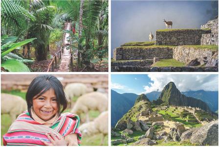 four-panel combined image of the machu pichu and rainforest