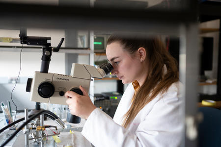 Research student peers into a microscope in a research lab