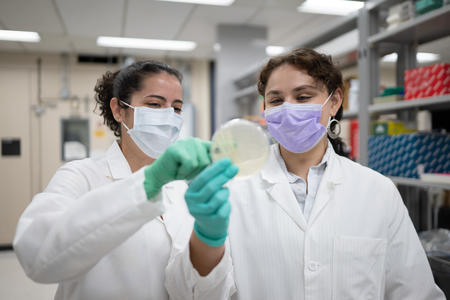 Two research students examine a petri dish