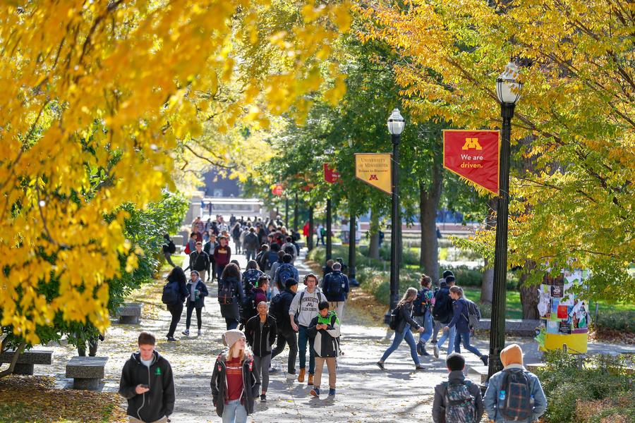 Students on campus with the leaves changing color to gold