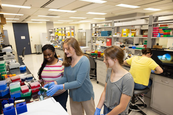 group of undergrad students conducting research in a lab for MnCORE