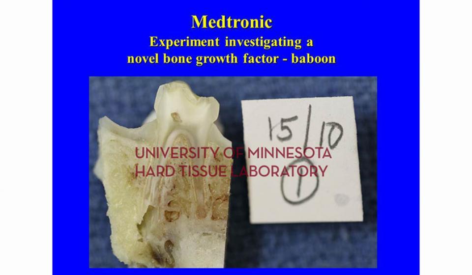 Medtronic Experiment investigating a novel bone growth factor - baboon