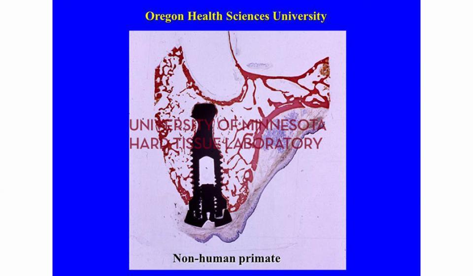 Oregon health Sciences University Non-human primate