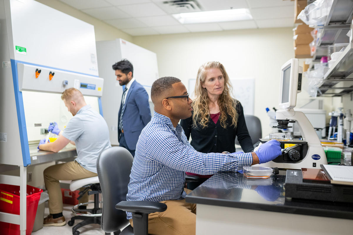 Graduate students, summer researchers and faculty work in the oral biology lab