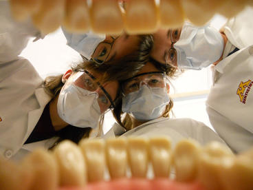Restorative Sciences students examine teeth