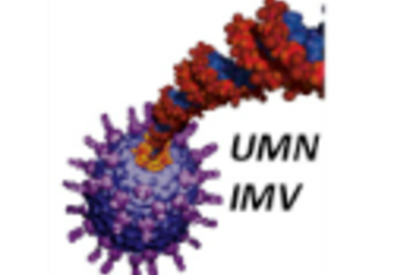 IMV picture of virus. 