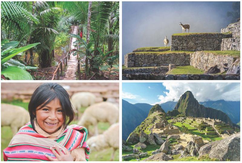 four-panel combined image of the machu pichu and rainforest